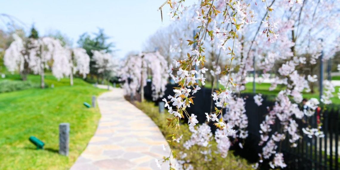 Метеорологи скорректировали прогноз на вторую часть апреля-2024 на Кубани