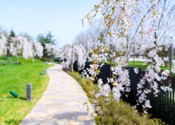 Метеорологи скорректировали прогноз на вторую часть апреля-2024 на Кубани