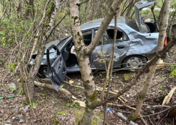 На Кубани Chevrolet врезался в дерево: пострадали два человека