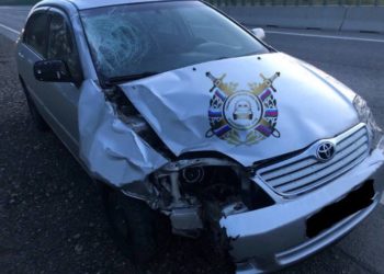 На Кубани водитель без прав насмерть сбил 30-летнюю женщину