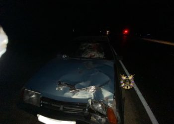 В Кавказском районе Кубани ВАЗ с прицепом насмерть сбил женщину