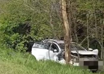 На Кубани 67-летний мужчина на «Ладе» врезался в дерево и погиб