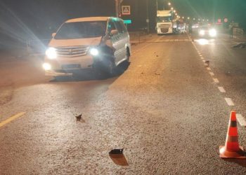 На Кубани Toyota сбила двух человек: погибла женщина