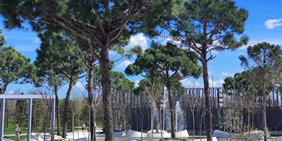 Заморозки на Кубани: где и когда их прогнозируют синоптики