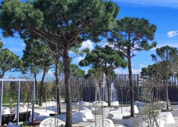 Заморозки на Кубани: где и когда их прогнозируют синоптики