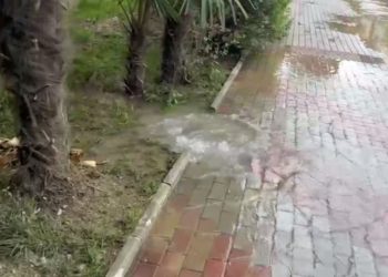 Сочинцы заметили фекальный «гейзер»