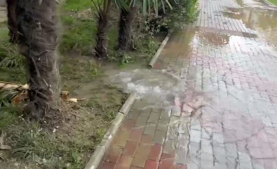 Сочинцы заметили фекальный «гейзер»