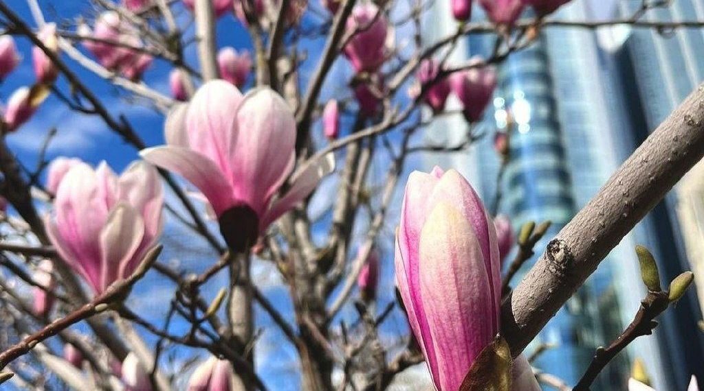 Метеорологи резко изменили прогноз на последние две декады апреля-2024 на Кубани