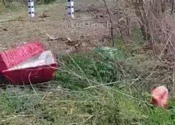 В Краснодарском крае на обочину выбросили гроб