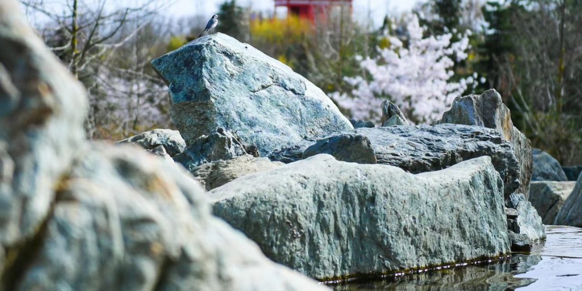 От +20 до +25: синоптики рассказали о погоде на Кубани в среду 10 апреля