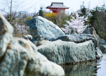 От +20 до +25: синоптики рассказали о погоде на Кубани в среду 10 апреля