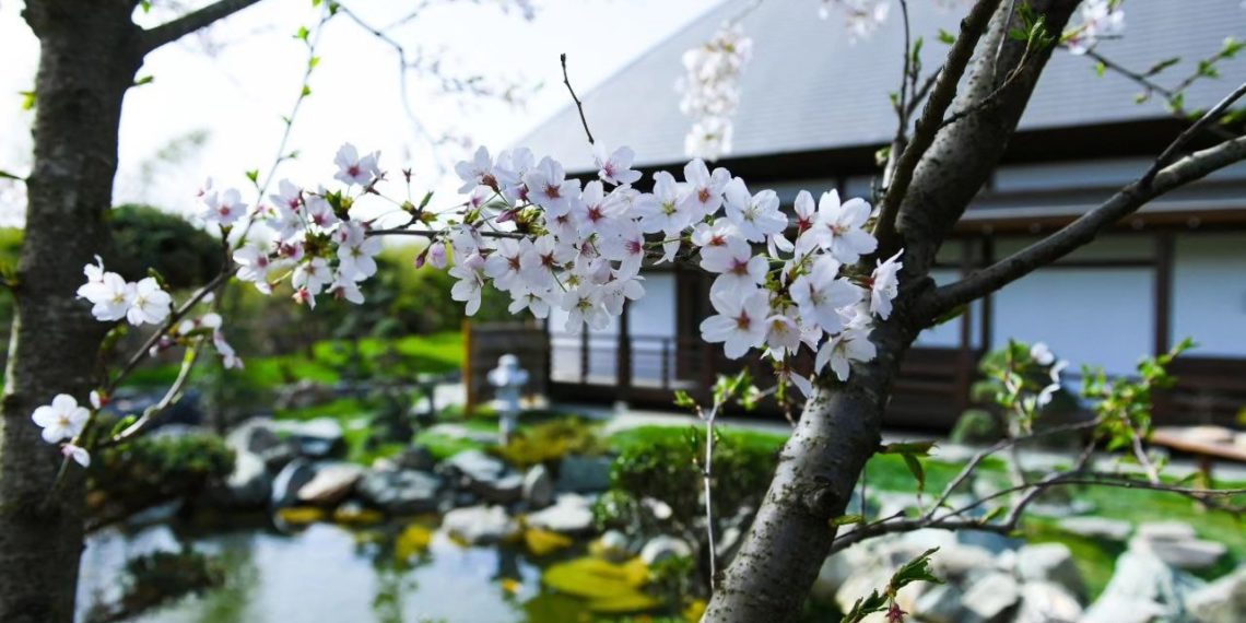 Синоптики дали неожиданный прогноз на начало мая-2024 в Краснодарском крае