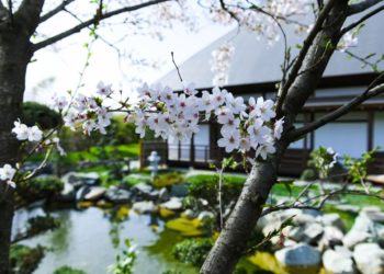 Синоптики дали неожиданный прогноз на начало мая-2024 в Краснодарском крае