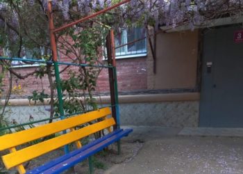 Жителей Краснодара возмутили лавочки, выкрашенные в цвета украинского флага