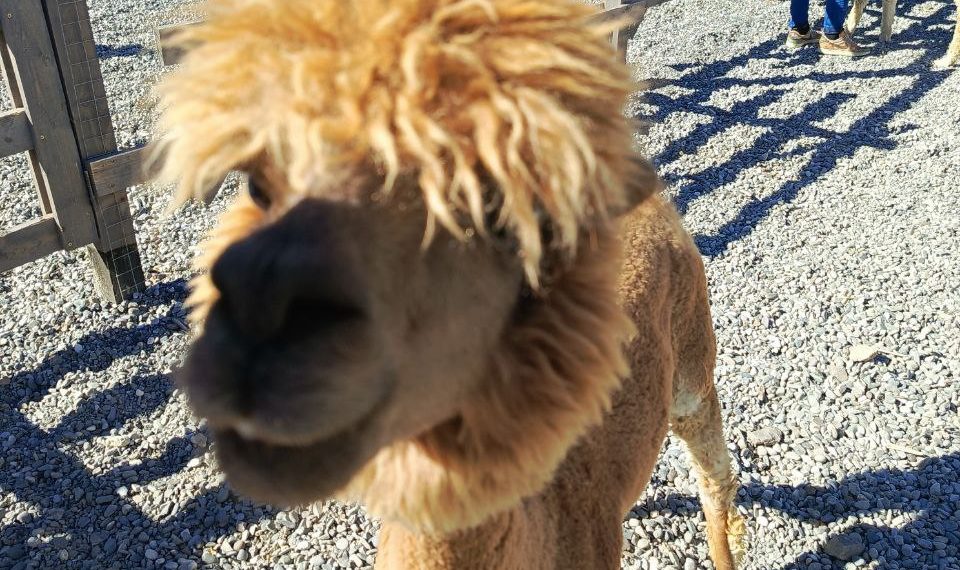 В каких районах Кубани будет жарче всего в ближайшее время, рассказали синоптики