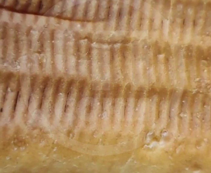 В Сети активно обсуждают продаваемые в Сочи булки с лобковыми волосами