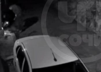 В Сочи двое мужчин искали наркотики и разбили кувалдой фундамент электрощитка