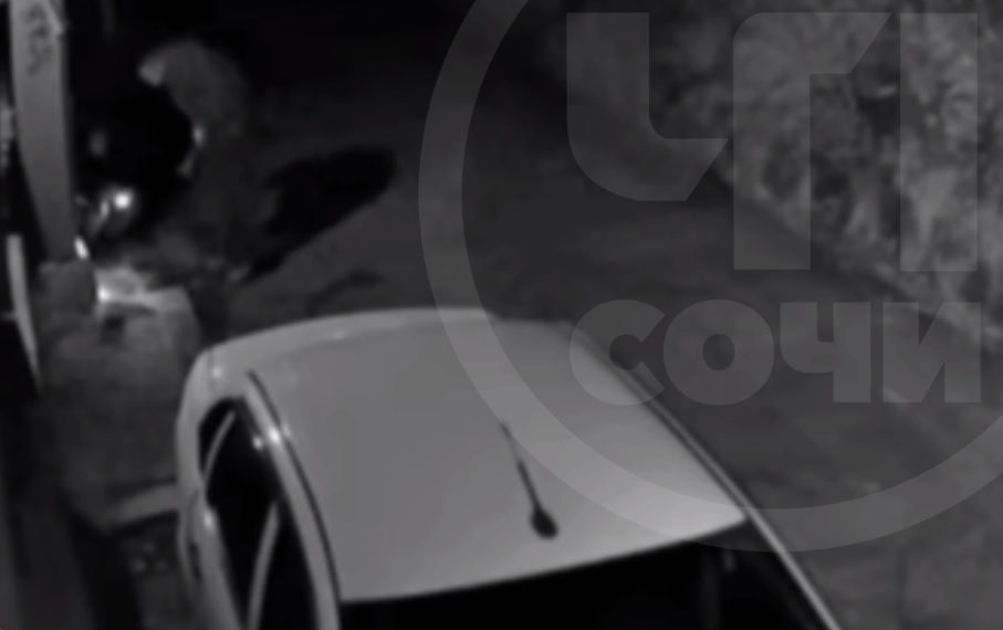 В Сочи двое мужчин искали наркотики и разбили кувалдой фундамент электрощитка