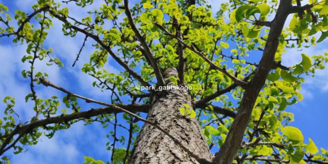 Синоптики определились с самыми холодными днями на предстоящей неделе на Кубани