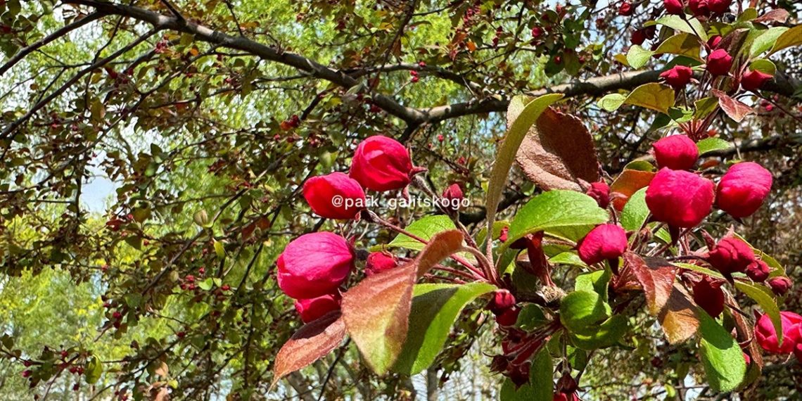 В субботу в Краснодарском крае похолодает до четырех градусов по Цельсию