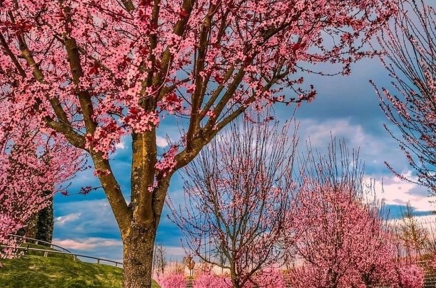 Ветер западный: воздух в воскресенье на Кубани прогреется до +23. Когда лето?