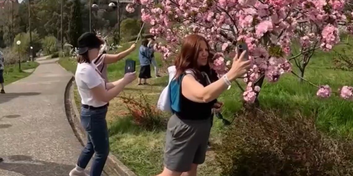 Туристы со всей России в начале апреля устремились в Сочи. Что случилось?