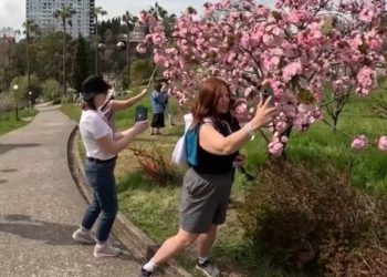 Туристы со всей России в начале апреля устремились в Сочи. Что случилось?