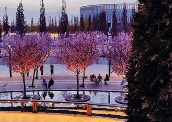 Синоптики резко изменили прогноз на апрель 2024 года в Краснодарском крае