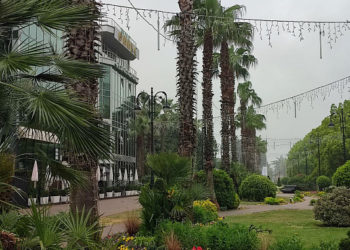 В Сочи и Сириусе ожидается туман 30 апреля