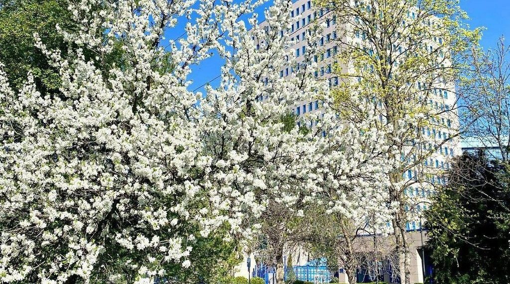 Метеорологи внезапно переиграли прогноз на начало мая на Кубани