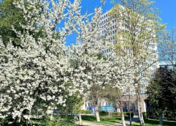 Метеорологи внезапно переиграли прогноз на начало мая на Кубани