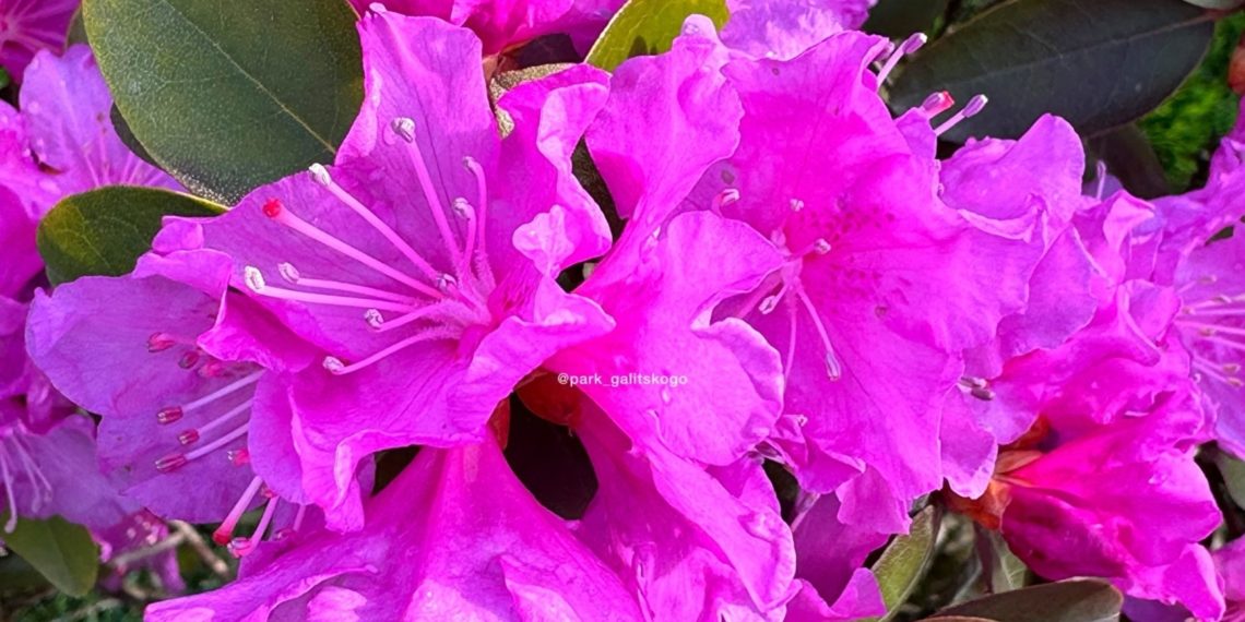 Выяснилось, как закончится эта рабочая неделя апреля-24 в плане погоды на Кубани