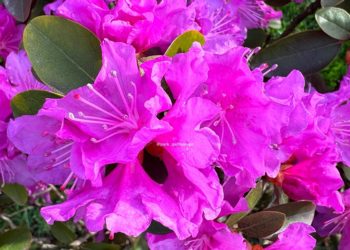 Выяснилось, как закончится эта рабочая неделя апреля-24 в плане погоды на Кубани