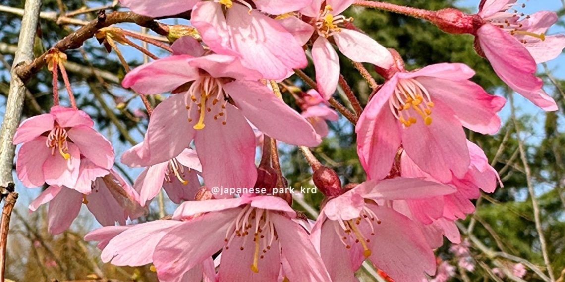 Синоптики назвали день, когда воздух на Кубани прогреется до +26 градусов