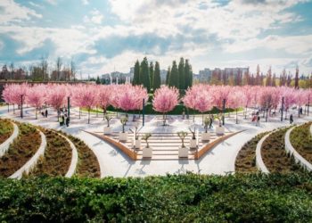 На Кубань придет летняя погода, синоптик Роман Вильфанд назвал точную дату