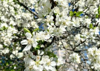 Синоптики назвали самый жаркий день третьей недели апреля-2024 на Кубани