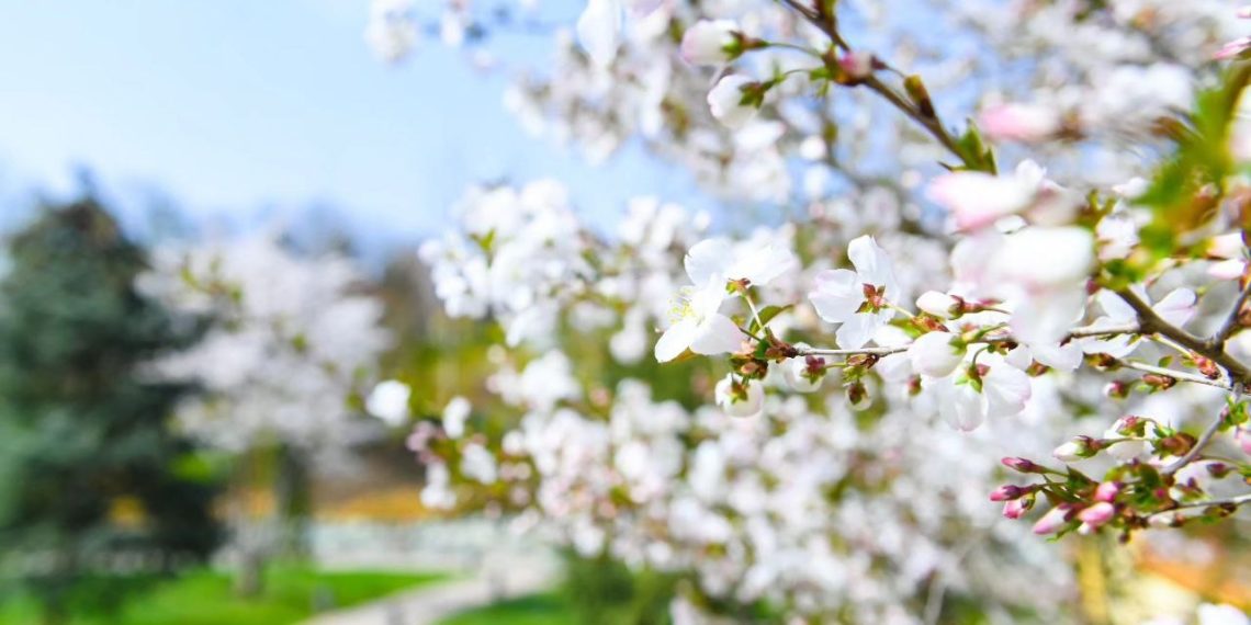 Отрицательная температура расстроит жителей Кубани, рассказали синоптики