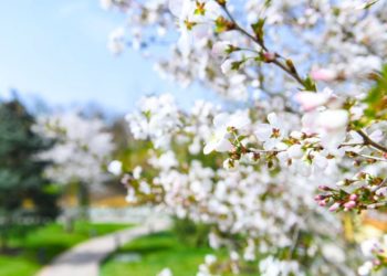 Отрицательная температура расстроит жителей Кубани, рассказали синоптики