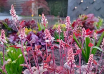 Синоптики Гидрометцентра дали неожиданный прогноз на лето-2024 на Кубани