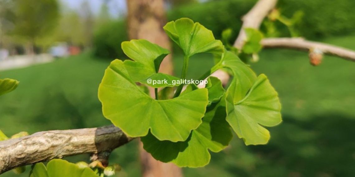 Метеорологи неприятно удивили прогнозом на начало недели в Краснодарском крае