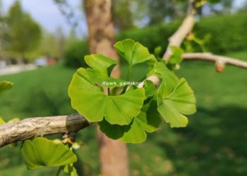 Метеорологи неприятно удивили прогнозом на начало недели в Краснодарском крае