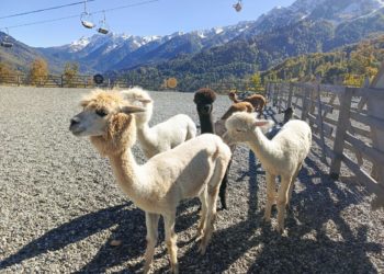 Синоптики разочаровали прогнозом на начало новой недели на Кубани