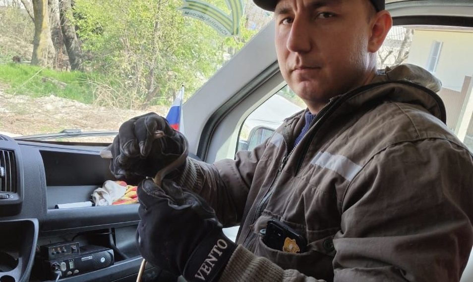 В Новороссийске спасатели поймали заползшую в дом змею