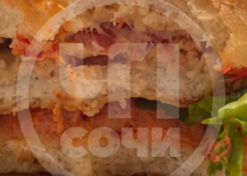 После булок с лобковыми волосами в Сочи стали продавать бургеры с живым мясом