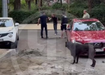 В Сочи кричащего парня облили водой и задержали