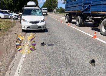 В Темрюкском районе Кубани Honda насмерть сбила 83-летнего мужчину