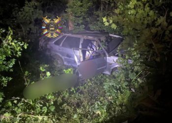 На Кубани 19-летний водитель «Лады» врезался в дерево и погиб