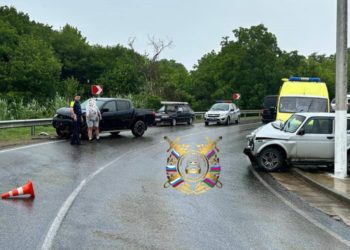 В ДТП в Краснодарском крае пострадали мужчина и его 10-летний сын