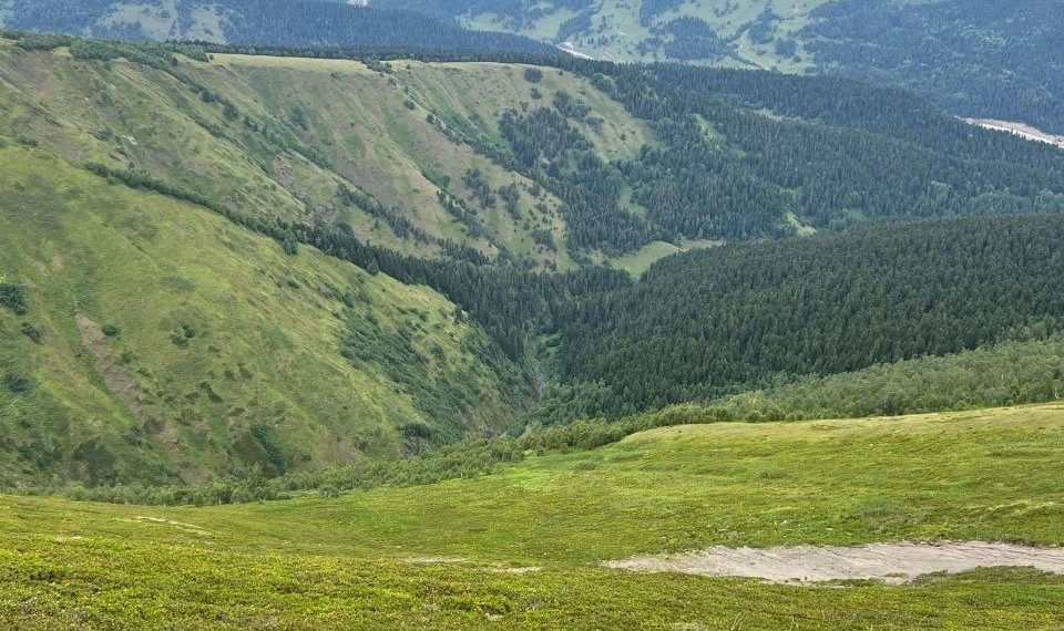 Синоптики резко переиграли прогноз на май-2024 в Краснодарском крае. Скрины