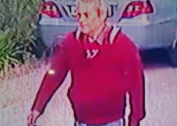 В Геленджике на тропе здоровья без вести пропал 55-летний мужчина с собакой